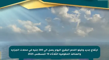 ارتفاع جديد وكيلو اللحم البقري اليوم يصل إلى 280 جنيه في محلات الجزارة والمنافذ الحكومية الثلاثاء 19 أغسطس 2025